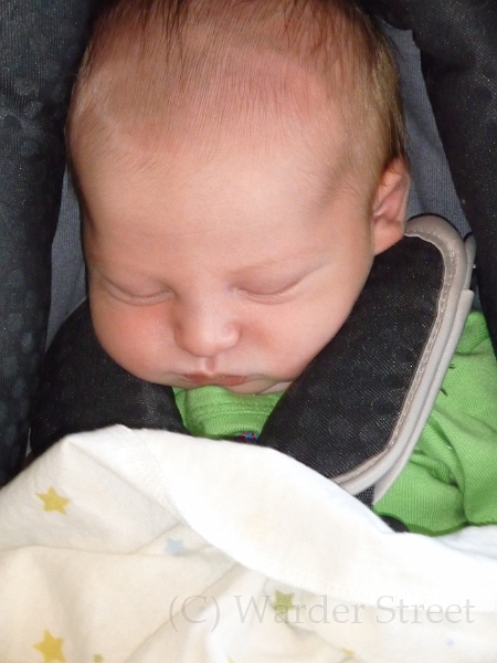 William's First Week 17.jpg